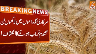 Millions Of Tons Wheat Wasted | Breaking News | Gnn