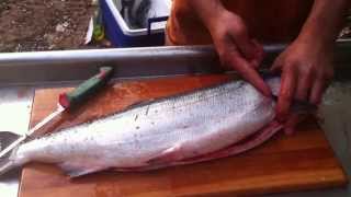 How to break down or process a salmon. Gut, gill, fillet, skin, de-bone.
