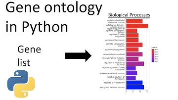 How to do gene ontology analysis in python
