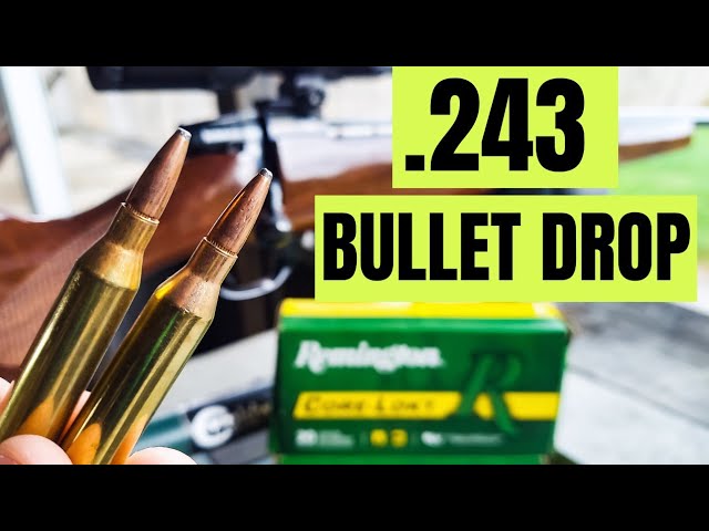 243 Cal Ballistic Chart 115-grain-vs-124-grain-9mm-ammo-know-the-difference
