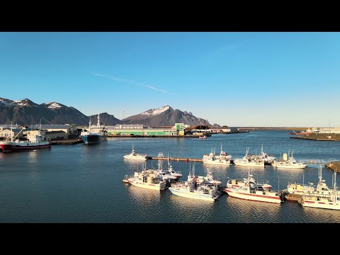 Höfn and Surrounding Areas 4K | Mavic Air 2