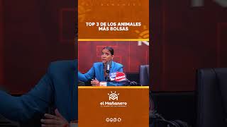 Los 3 ANIMALES mas BOLSAS del MUNDO