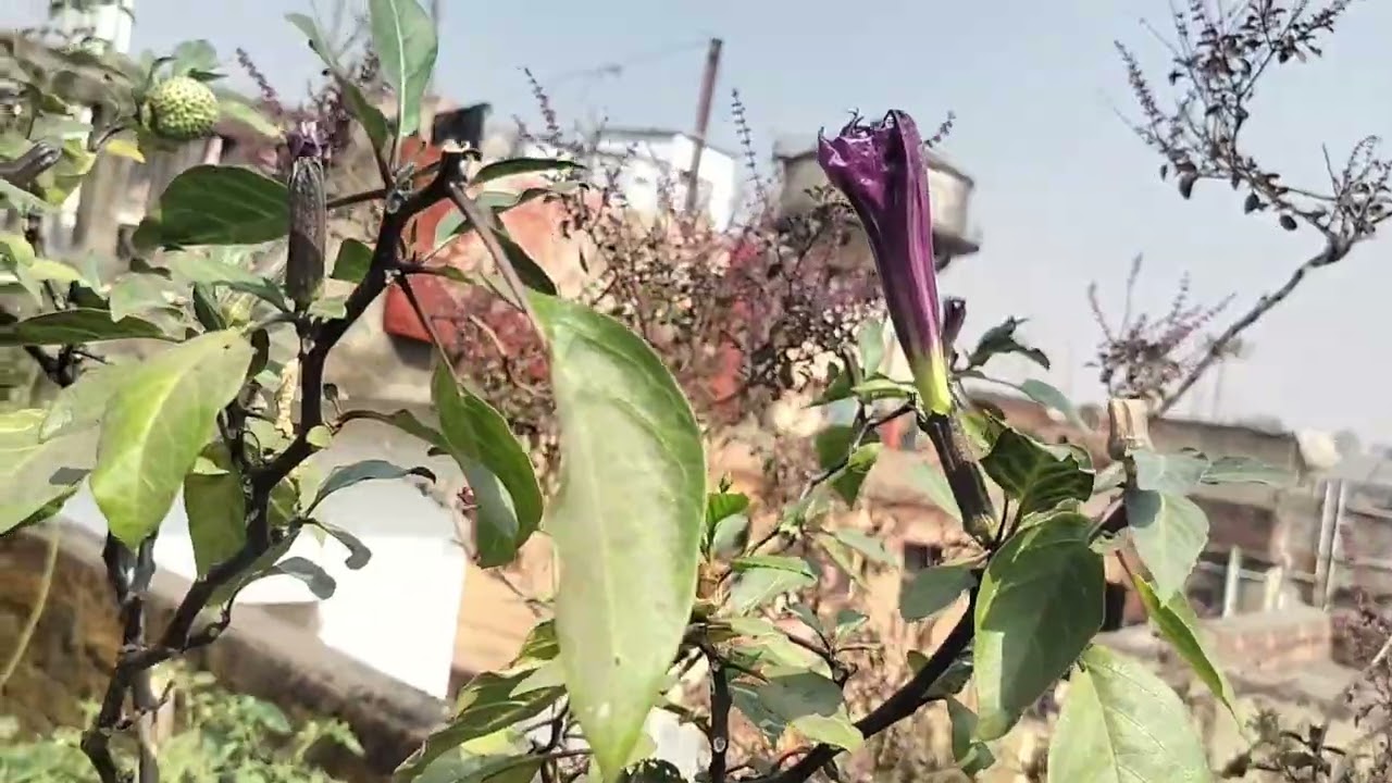 Mahashivratri 🙏🥹! Shivratri preperation 