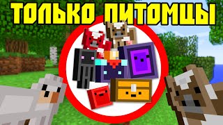 Как пройти майнкрафт используя только Карманных ПИТОМЦЕВ!