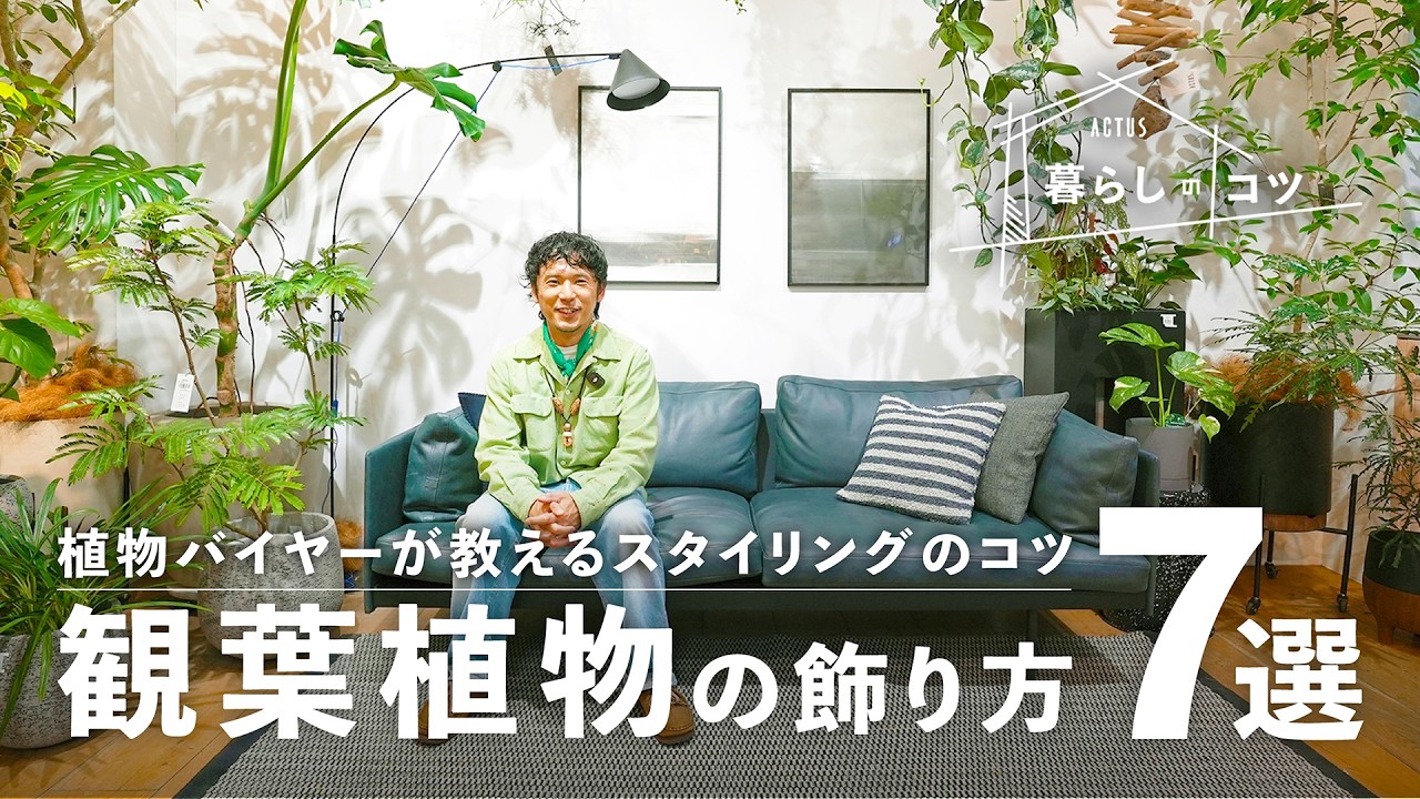 アート952　「ネイチャーS」　インテリアコーディネート Tips for Styling Houseplants to Match Your Interior! - YouTube