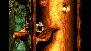 Let's play Donkey Kong country 3 (103%) part 9