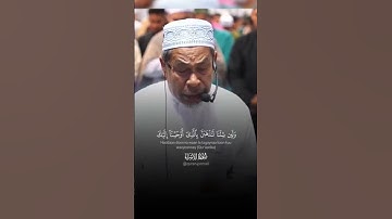 تلاوة تثلج الصدور #القرانالكريم #تلاوة_خاشعة #القرآن_الكريم #تلاوات
