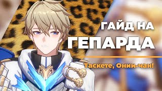 Простой Гайд на Гепарда БЕЗ ВОДЫ | ЛУЧШИЙ ЩИТОВИК В ИГРЕ | Honkai: Star Rail