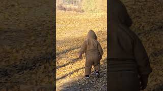 Böceğe Bakk😱😱🤯🤯🫨🫨😵😵 9 Resimi