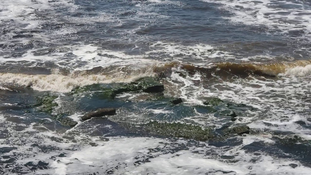 The Beach Water Was Brown Today..... YouTube