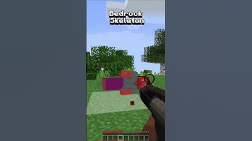 Java Skeleton vs Bedrock Skeleton? #shorts #minecraft #meme #funny #viral #trend
