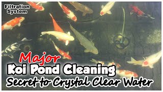 How to Clean Koi Pond  Major Cleaning