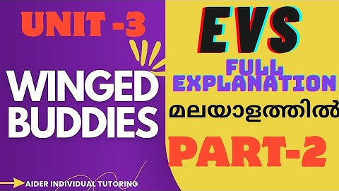Std4 EVS  Unit 3 Winged Buddies explanation in malayalam Part  2 /Class 4 EVS unit 3 winged Buddies 