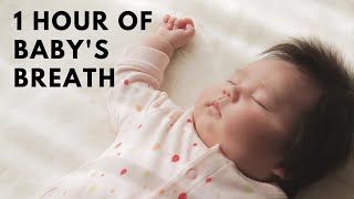 👶1 Hour of Baby's Breath: Peaceful Sleeping Baby Video with Soothing Sleep Sounds #babyvideos