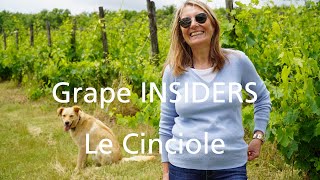 Grape INSIDERS: Le Cinciole winery in Panzano in Chianti, Wine Tour in Chianti Classico