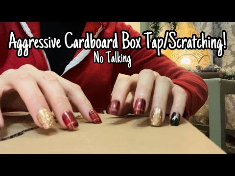 ASMR * Aggressive Cardboard Box Tapping & Scratching * Camera Tapping * No Talking * ASMRVilla