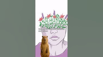 Continue Life Satisfaction From Scratch