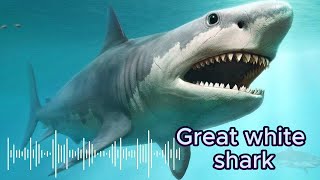 Mythical Sea Creatures (With Audio) Part 2