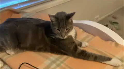 77275144938  5BCB4206 2D1F 4597 B27C E11A7FEC6F2B