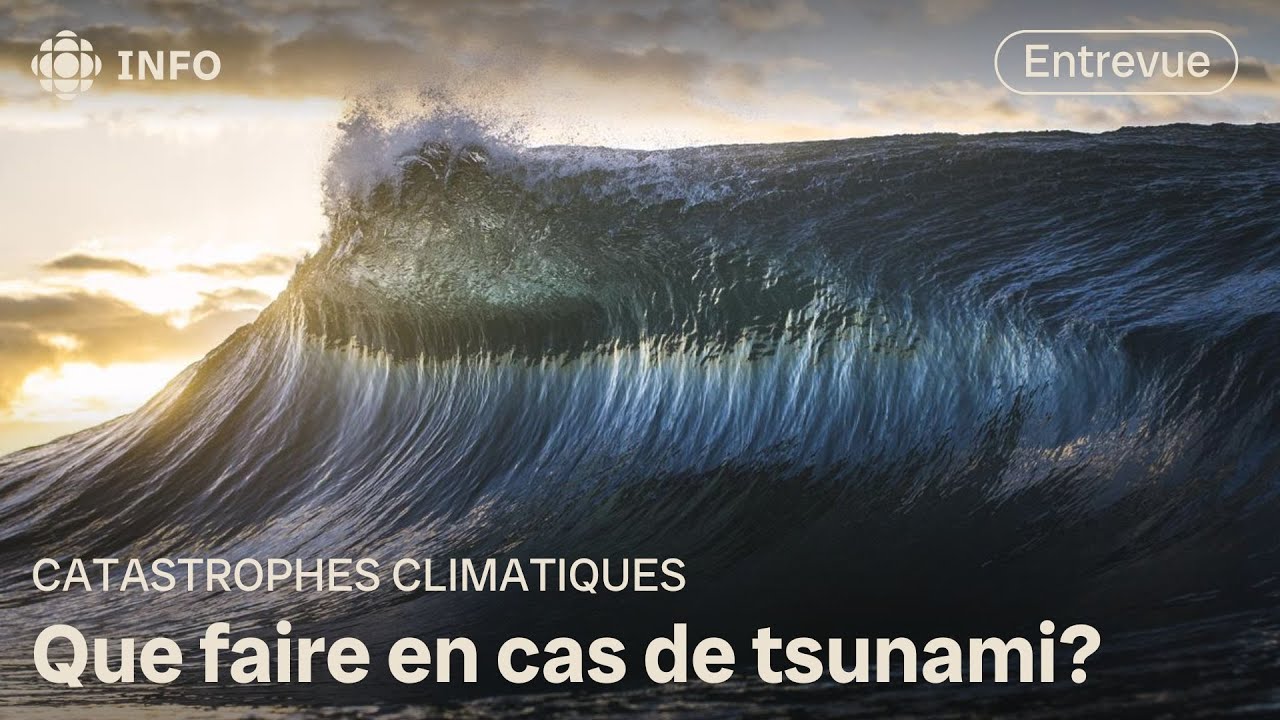 Vagues De Tsunamis Tsunamis Die Tödliche Gefahr Aus Dem Ozean