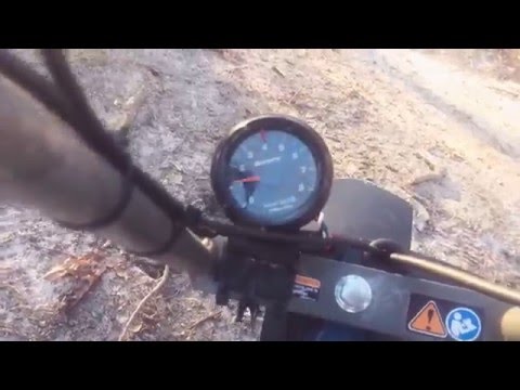 Dirt Bug Db30