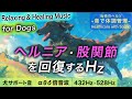 【犬が落ち着く音楽】ヘルニアと股関節の治癒音┃お留守番にも┃超回復のα波･θ波･デルタ波┃全ソルフェジオ周波数