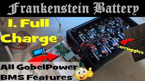 First charge of the Frankenstein battery... But look at this GobelPower BMS!!!