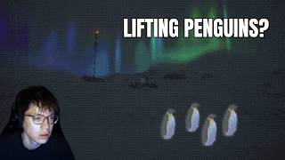 Something’s Wrong With This Penguin Island