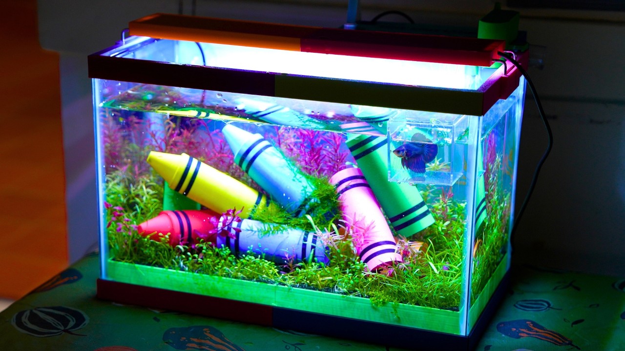 Аквариум из Мелков за 48 Часов | Сюрприз для 20 Детей в Классе