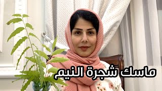 ماسك شجرة النيم المعجزه للبشره الشعر