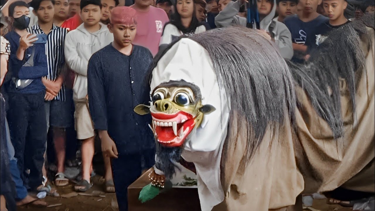 Macan Macanan Barong Tresno Budoyo Kemiren Live Gontoran