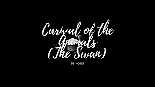 Saint Saëns - Carnival of the Animals (The Swan) • 10 Hours w/ Rain & Fireplace • Relaxing Music