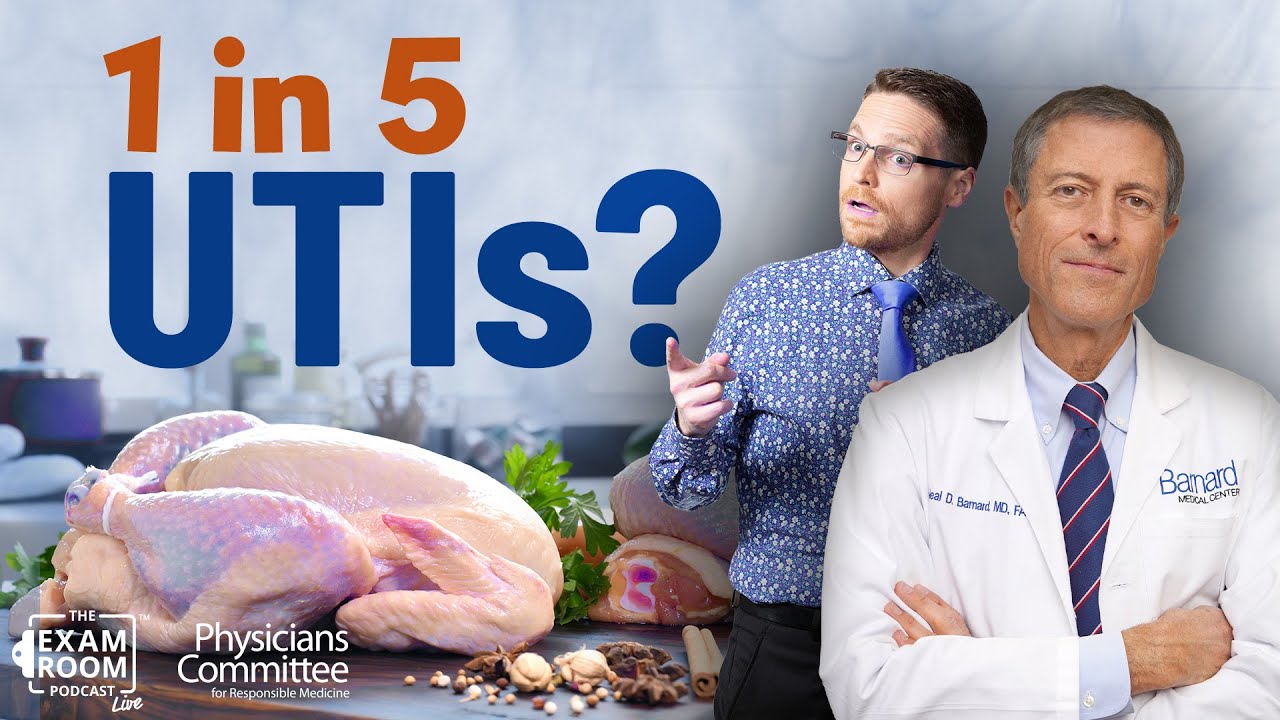 New Study: Chicken Causes 1 in 5 UTIs — Dr. Neal Barnard Explains the Hidden Risk
