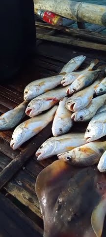 Download lagu sllu ada hasil dari perjuangan 🤲 #remix #mancing