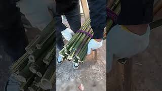 DIY Practical Strapping Auxiliary Tool 🪢 Labor-Saving &amp; Non-Slip ✨ Super Easy for Bundling