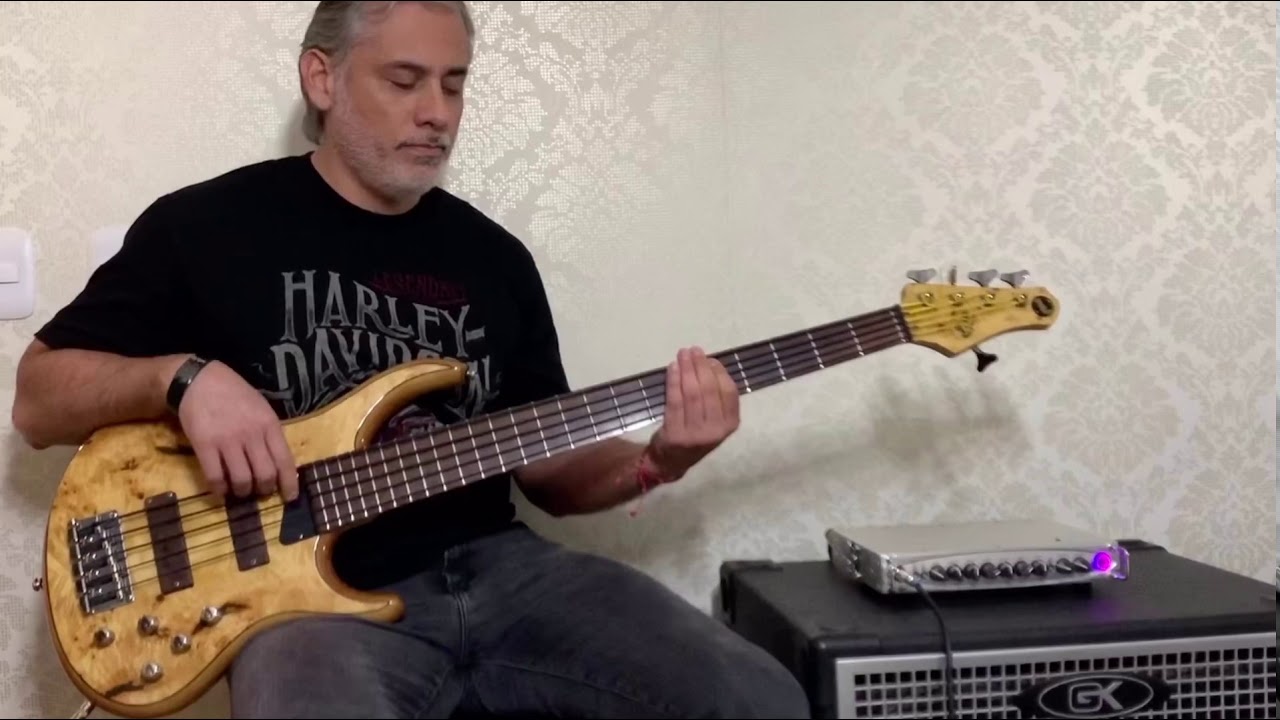 You may be right - Bass cover - YouTube