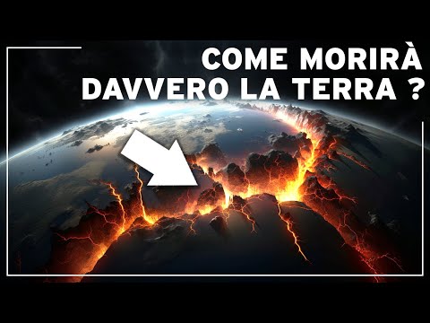 Video: Schema della catena alimentare caratteristica del deserto artico: opzioni, elementi di base