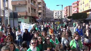 Manifestación de la Plataforma por la Educación en Rincón de la Victoria