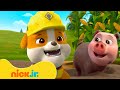 Rubbles Rettungsmissionen in der Natur! | 1 Stunde Compilation | Nick Jr. Deutschland