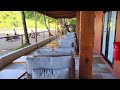 Exotik Seascape, from beach facing rooms, Mt. Plaisir hotel, Grande Riviere, Trinidad & Tobago, W.I.