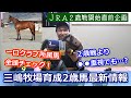 JRA2歳新馬戦開幕直前!一口クラブ馬全頭紹介&牧場独自の育成スタイルも解説🐎POGファン必見三嶋牧場育成2歳馬最新情報