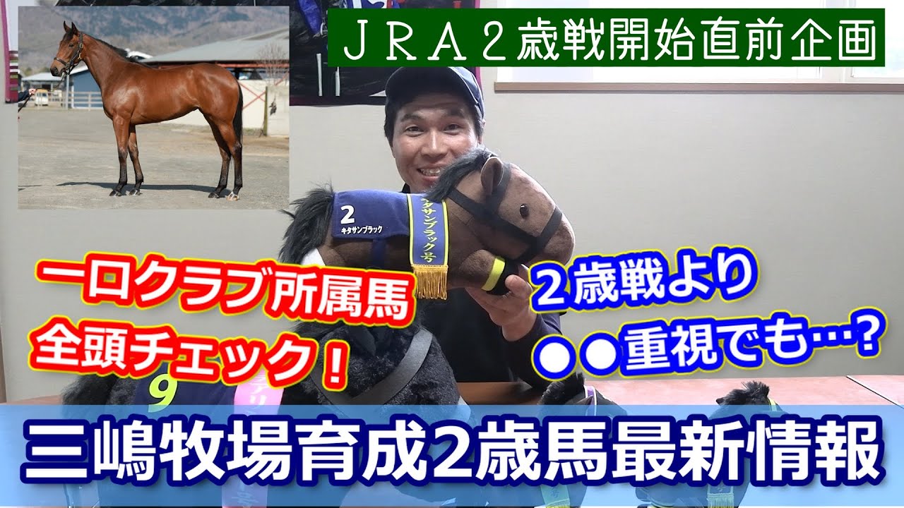 競馬　馬　５体セット The JRA 2-year-old maiden race is about to begin! Introducing all