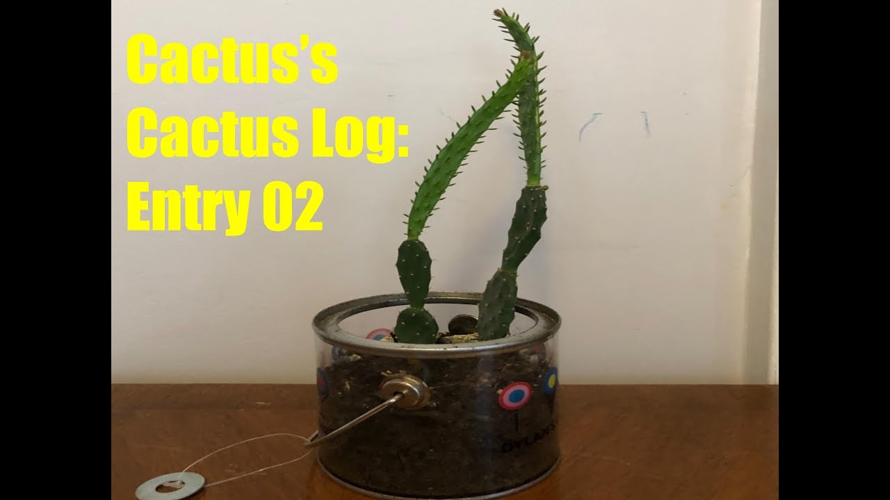 Cactus's Cactus Log #2 - YouTube