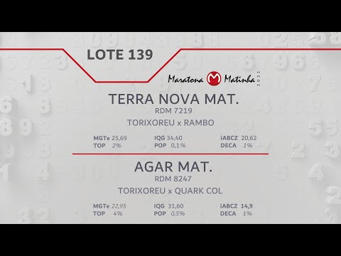 LOTE 139 Maratona Matinha