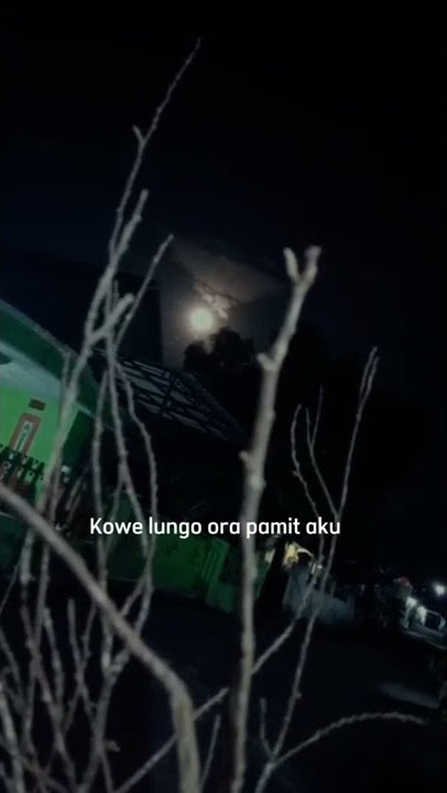 STORY WA Sri Minggat// DENNY CAK NAN
