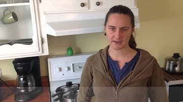 green eye community food mentor program