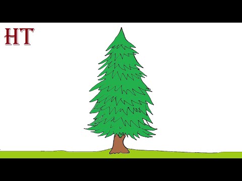 How To Draw A Spruce Tree Easy Step By Step - Youtube