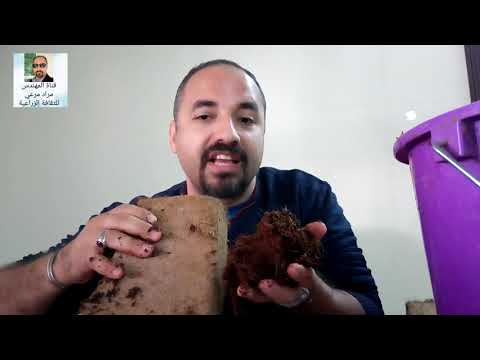 فيديو: ما هو قشرة التربة؟