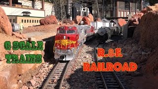 Roger and Faith Clarkson G Scale Garden Train Layout