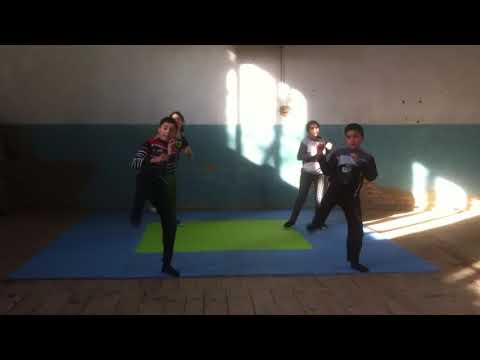 ოცდამეცხრე გაკვეთილი, კარატე.